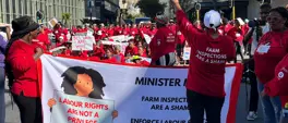 Women farmworkers march to Parliament demanding action on land reform Women farmworkers march to Parliament demanding action on land reform