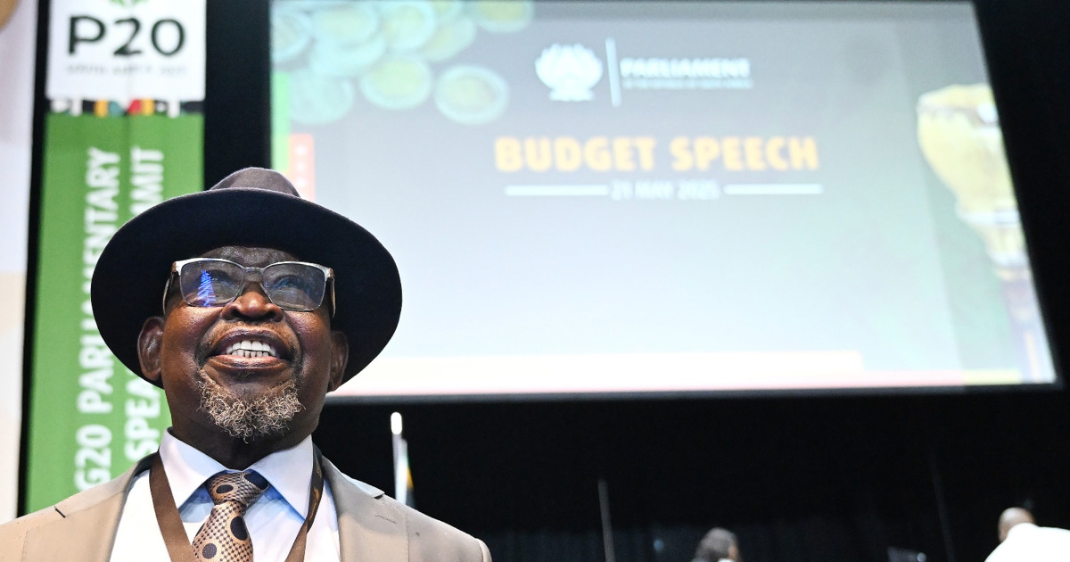 Motion to censure Godongwana over 'mishandling' national budget falls flat