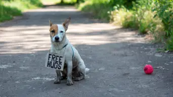 New evidence shows dogs lived with humans 15,000 years ago New evidence shows dogs lived with humans 15,000 years ago