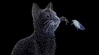 WATCH: China's stunning fireworks festival powered by 16k AI drones sets Guinness World Records WATCH: China's stunning fireworks festival powered by 16k AI drones sets Guinness World Records