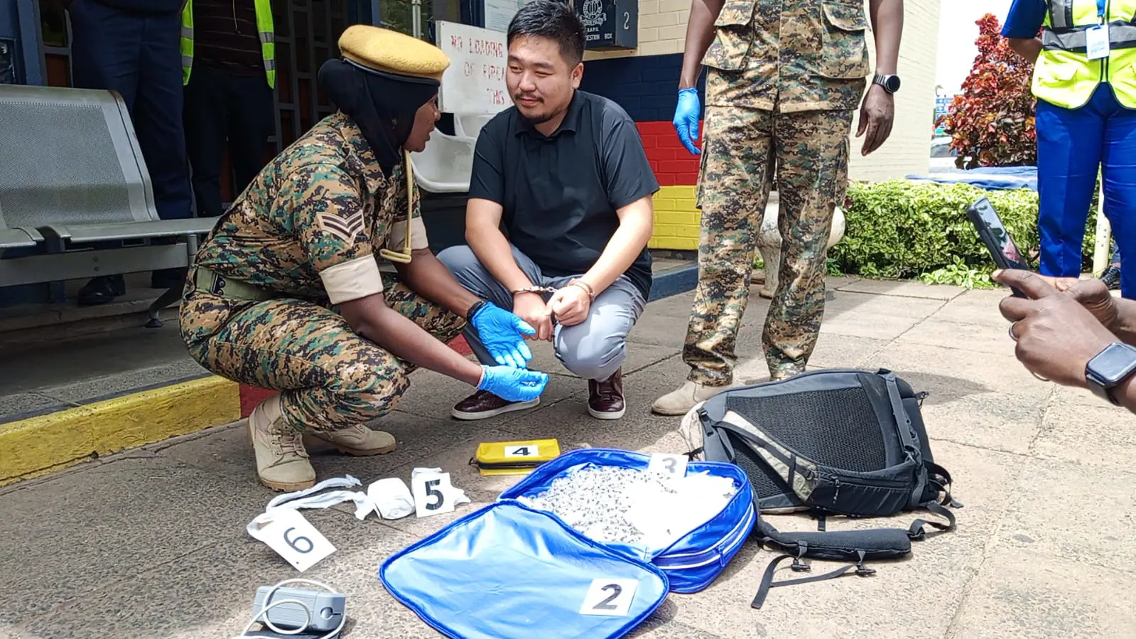 A Chinese national was caught trying to smuggle over 2,200 live ants out of Kenya. Image: Kenya Wildlife Service on Facebook A Chinese national was caught trying to smuggle over 2,200 live ants out of Kenya. Image: Kenya Wildlife Service on Facebook