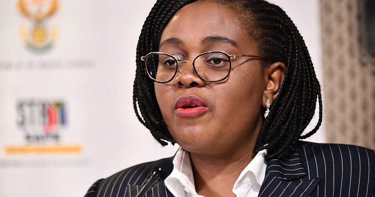 Kubayi says all NPA prosecutors to undergo lifestyle audits in bid to root out corruption