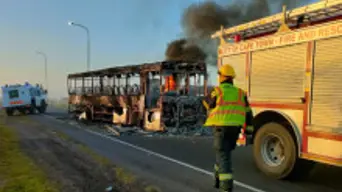 MANDY WIENER: The law is the law in Republic of Cape Town – 'if' it is the law MANDY WIENER: The law is the law in Republic of Cape Town – 'if' it is the law