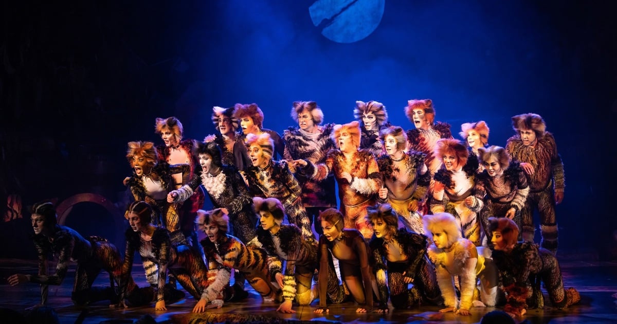 Let the Memory Live Again: Iconic musical CATS returns to SA - Cape Town and Joburg