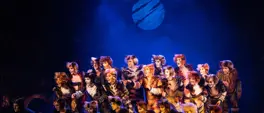 Let the Memory Live Again: Iconic musical CATS returns to SA - Cape Town and Joburg Let the Memory Live Again: Iconic musical CATS returns to SA - Cape Town and Joburg