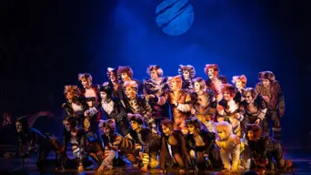 Let the Memory Live Again: Iconic musical CATS returns to SA - Cape Town and Joburg Let the Memory Live Again: Iconic musical CATS returns to SA - Cape Town and Joburg