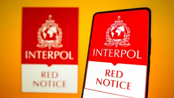 South African businessman tied to $1.5bn global scam network as Interpol issues red notice South African businessman tied to $1.5bn global scam network as Interpol issues red notice