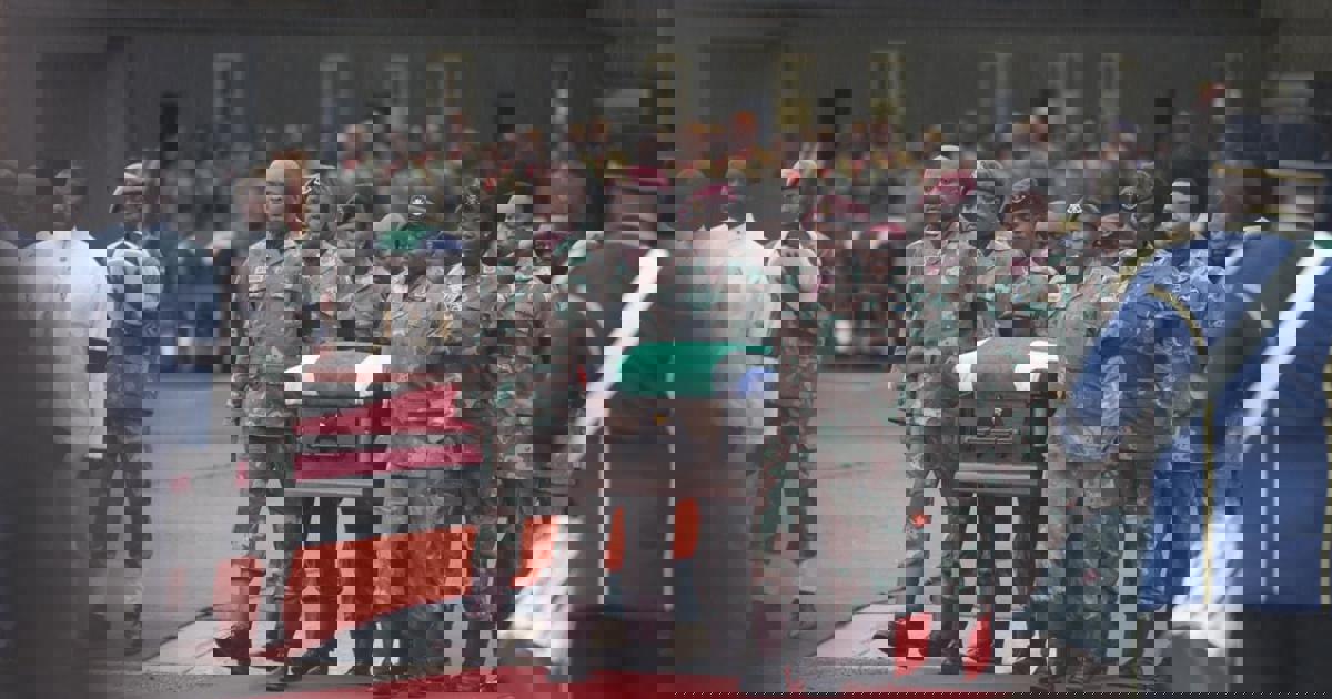 SANDU wants inquiry into the deaths of 14 SANDF soldiers in DRC