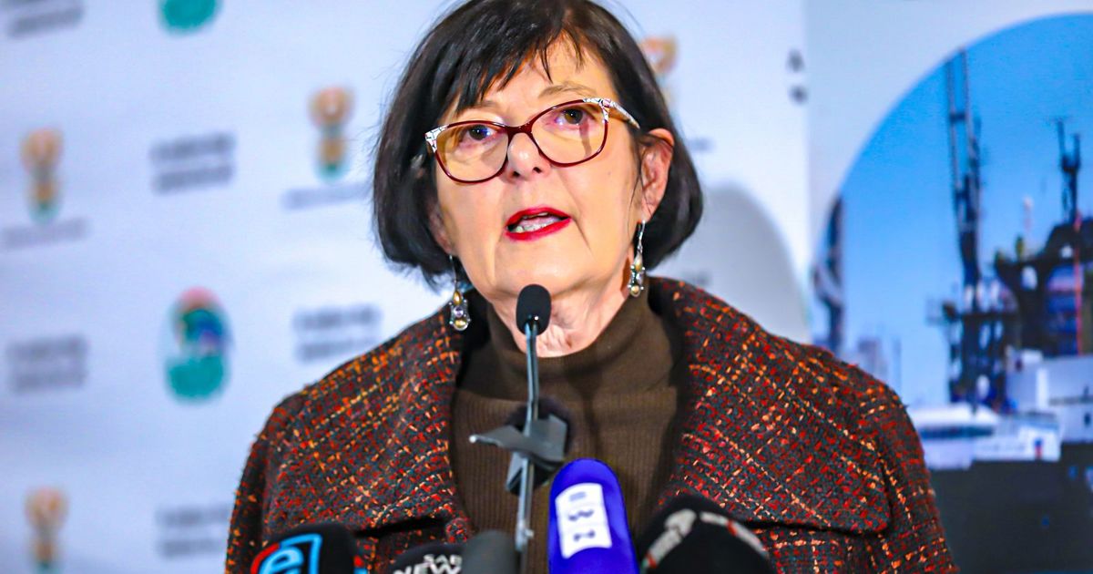 Creecy calls on private sector to help modernise SA’s passenger rail ...