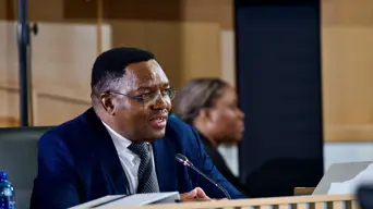 Masemola tells Madlanga Commission that he informed Ramaphosa about Mchunu's attempt to disband Political Killings Task Team Masemola tells Madlanga Commission that he informed Ramaphosa about Mchunu's attempt to disband Political Killings Task Team
