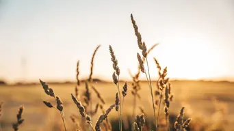 Inspirational stories from South Africa's rural communities coming to kykNET Inspirational stories from South Africa's rural communities coming to kykNET