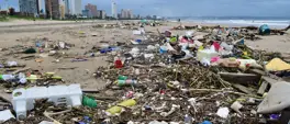 eThekwini shuts four beaches amid pollution concerns eThekwini shuts four beaches amid pollution concerns