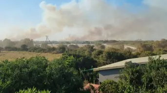 EC residents in Kouga Local Municipality evacuated due to uncontrolled fires EC residents in Kouga Local Municipality evacuated due to uncontrolled fires