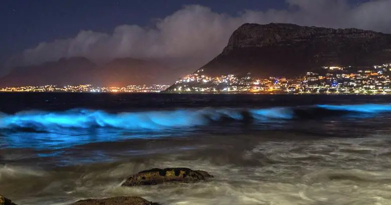 Image by: Brenton Geach, photographer Image by: Brenton Geach, photographer