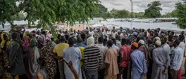 'Killed on sight': Sudanese fleeing El-Fasher recall ethnic attacks 'Killed on sight': Sudanese fleeing El-Fasher recall ethnic attacks