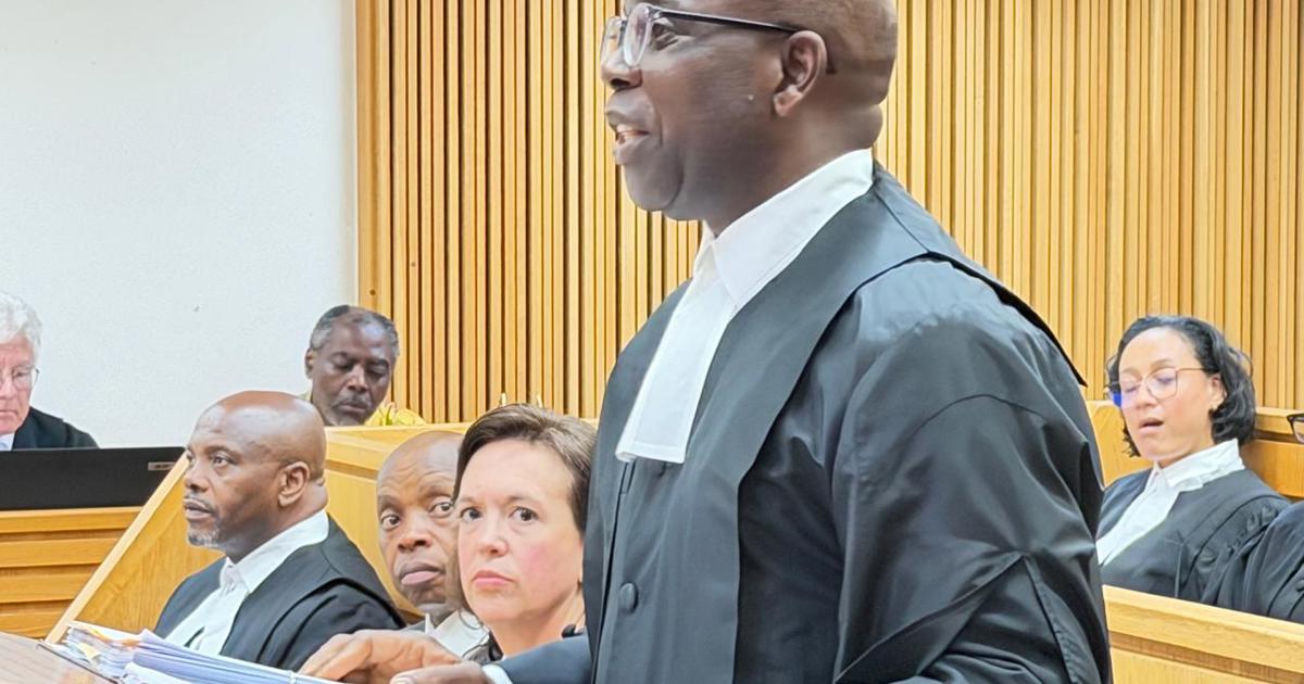 President Ramaphosa's legal team defends Expropriation Act in court