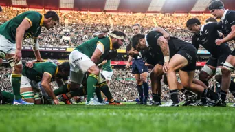 Springboks to play two Tests in New Zealand in 2025 Springboks to play two Tests in New Zealand in 2025