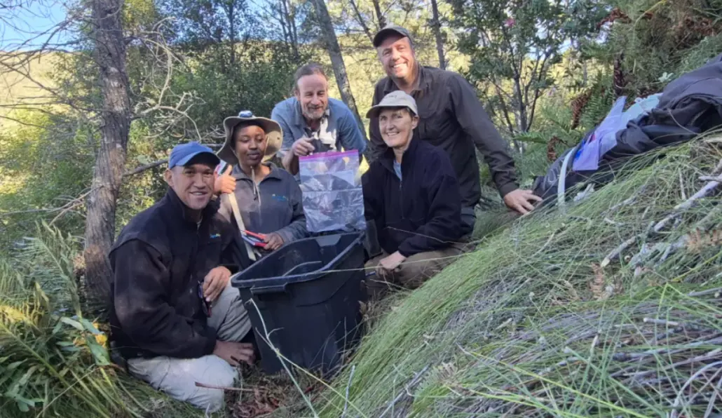 Image by: CapeNature Image by: CapeNature