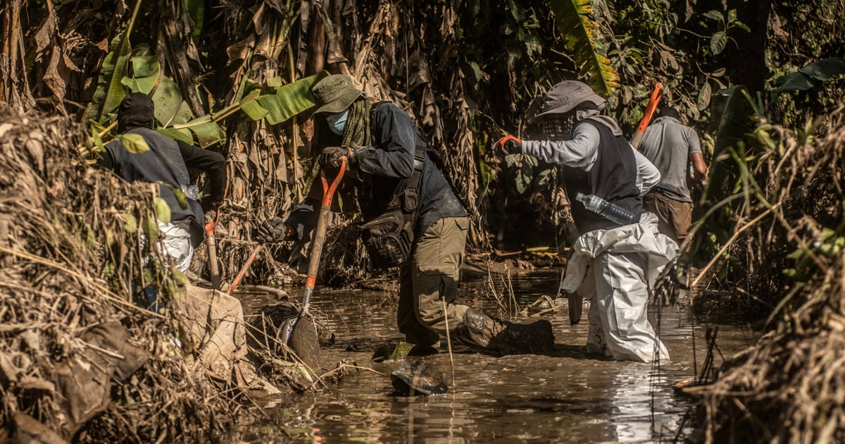Families search Mexican forest for remains of over 100 missing