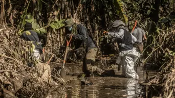 Mexico flood toll rises to 76, many still missing Mexico flood toll rises to 76, many still missing