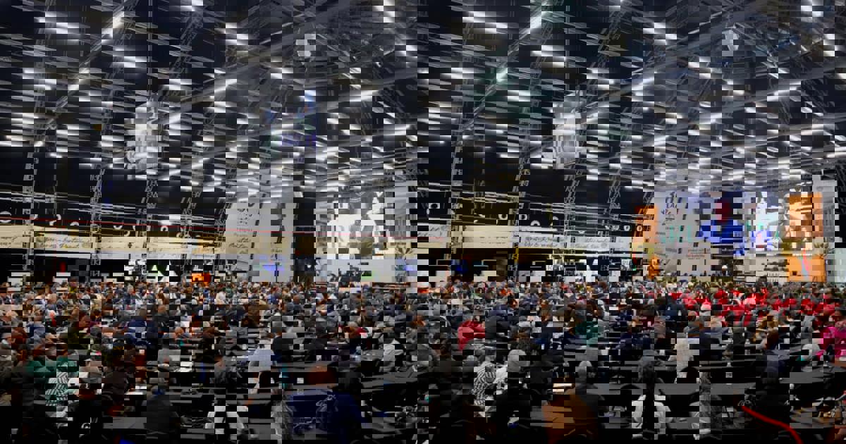 Godongwana: 63% of SA municipalities in financial distress