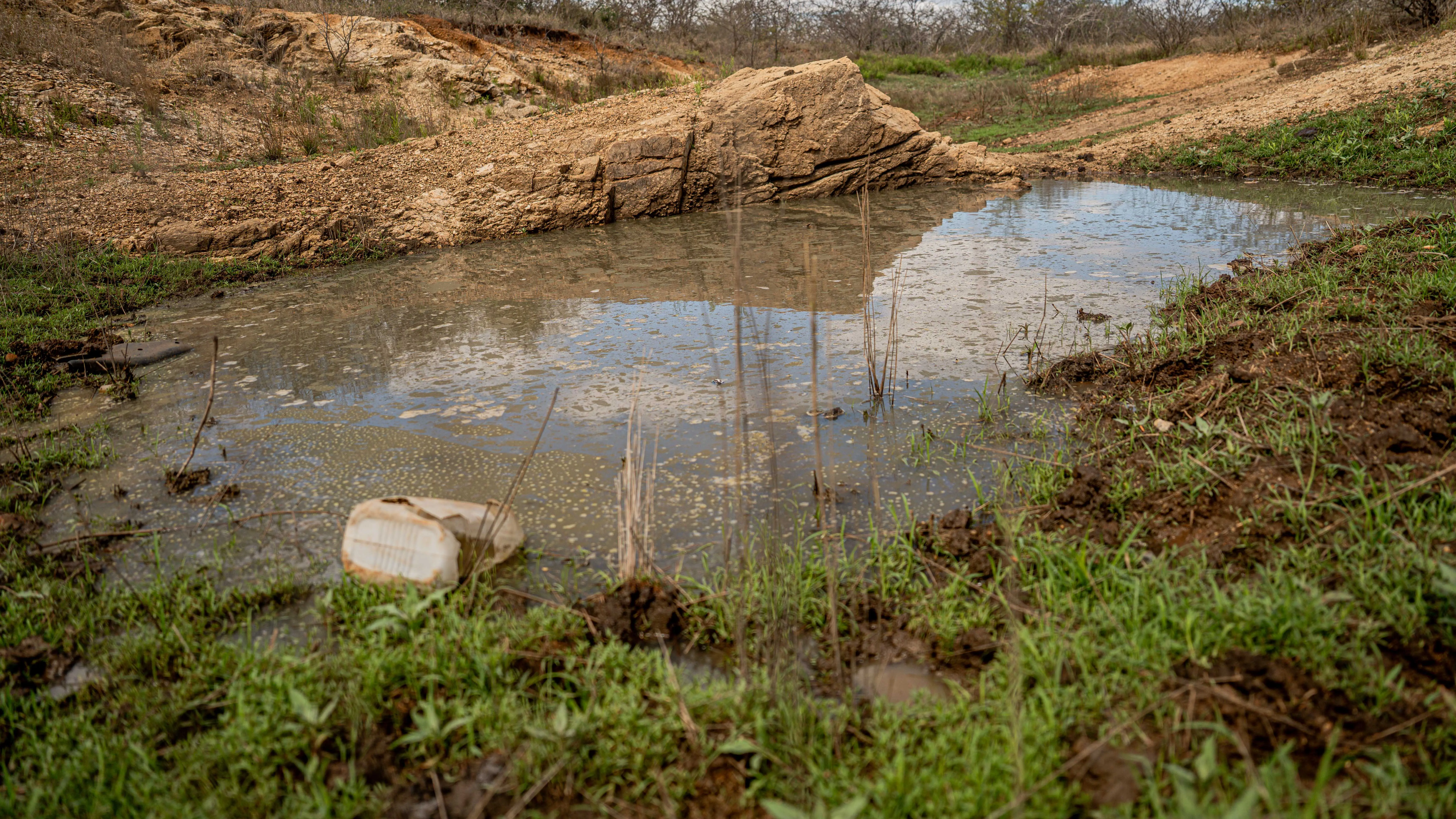 FEATURE |‘ We won’t vote without water’: Limpopo villagers forced to ...