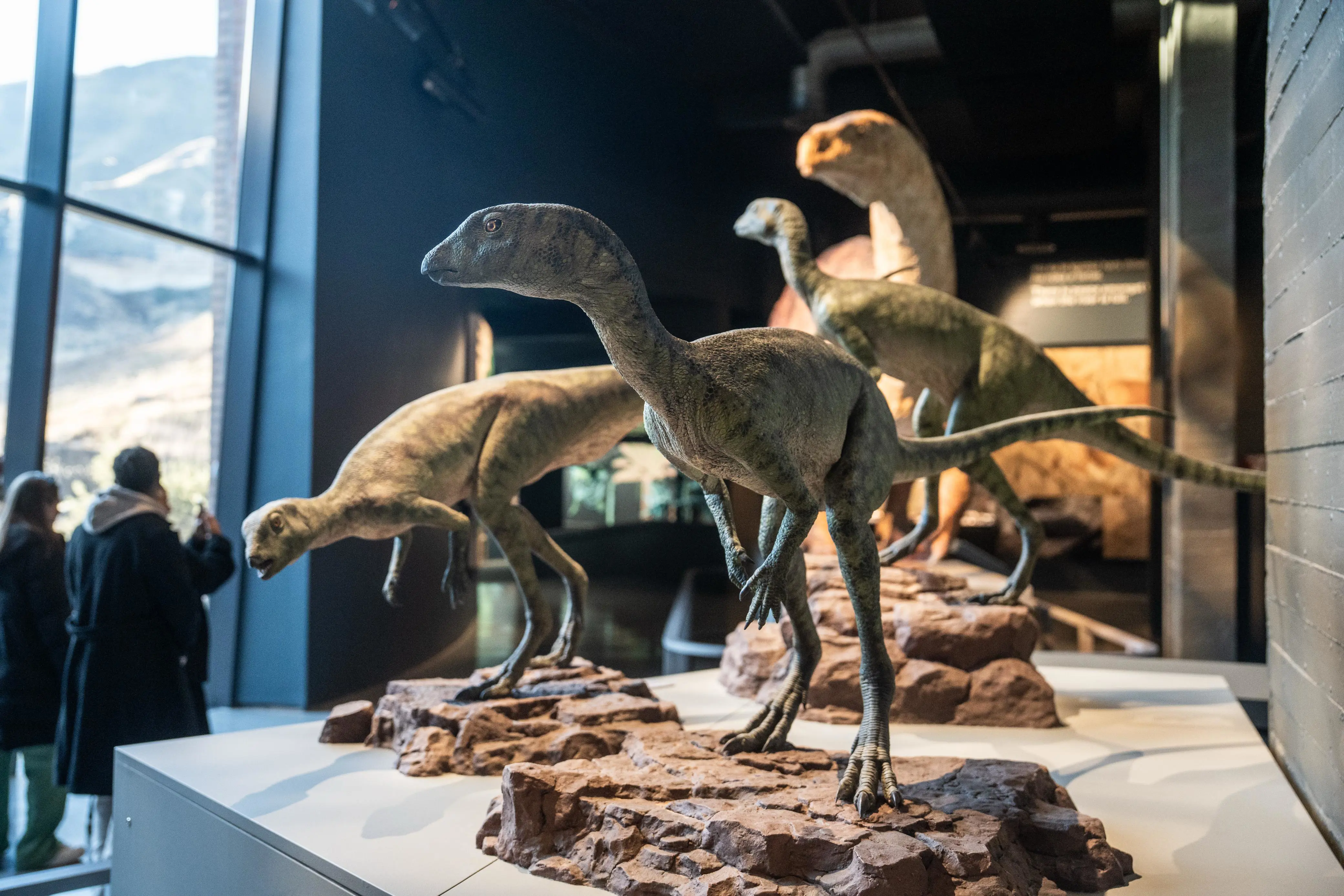 A model of Lesothosaurus diagnostics ‘The distinguished lizard of Lesotho' on display at the Kgodumodumo Dinosaur Interpretation Centre, located in SANParks’ Golden Gate Highlands National Park in the Free State, 21 June 2025. Picture: Jacques Nelles/EWN A model of Lesothosaurus diagnostics ‘The distinguished lizard of Lesotho' on display at the Kgodumodumo Dinosaur Interpretation Centre, located in SANParks’ Golden Gate Highlands National Park in the Free State, 21 June 2025. Picture: Jacques Nelles/EWN