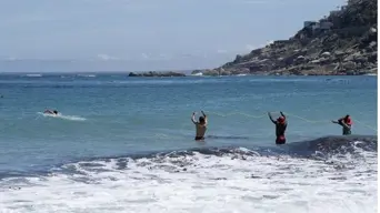 Public warned not to eat shellfish after red tide hits West Coast beaches Public warned not to eat shellfish after red tide hits West Coast beaches
