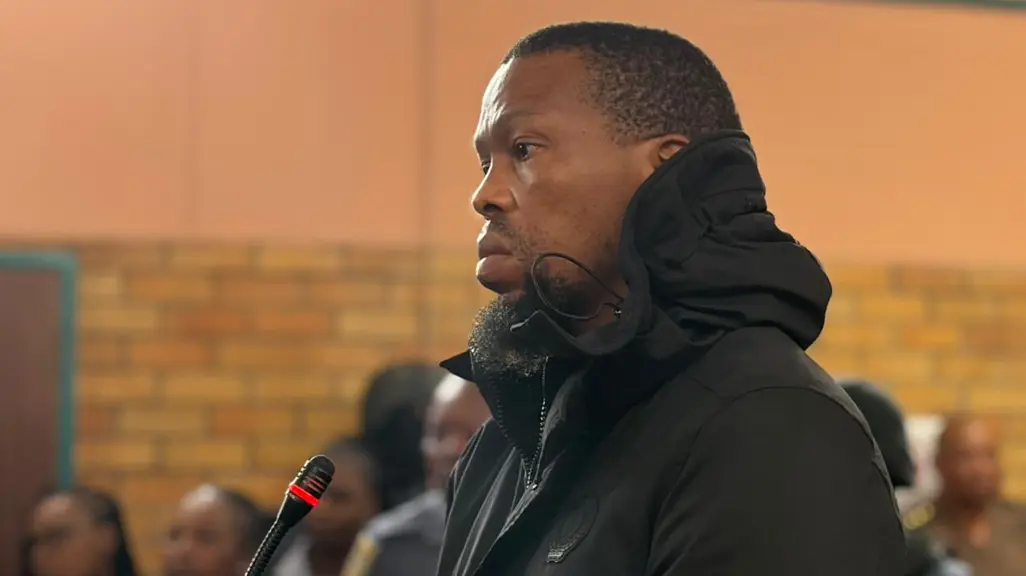 Alleged Madlanga Commission witness killer returns to court for formal ...