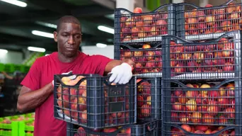 China fruit trade deal could boost agriculture sector by R400m over five years China fruit trade deal could boost agriculture sector by R400m over five years