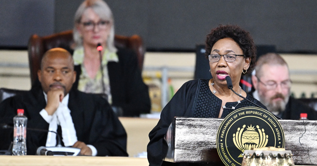 SANDF chief won't face disciplinary action after remarks he made in Iran - ...