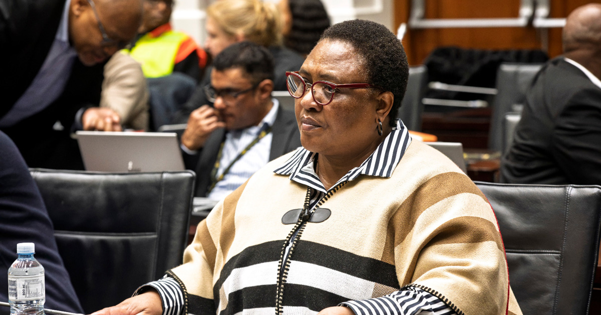 GNU parties shield Didiza against EFF's attempt to remove her