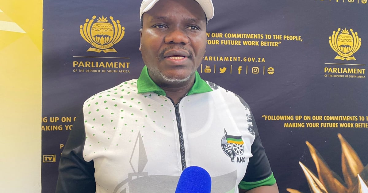 Ntuli vom ANC bezeichnet Misstrauensantrag gegen Didiza als ...