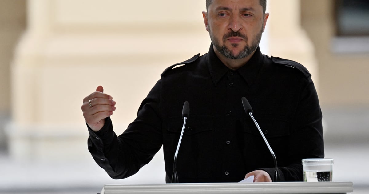 Zelensky urges 'joint' air defence with Europe after Russian drones downed in Poland