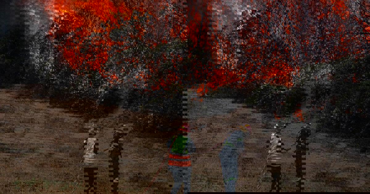 Changing winds could still fan Western Cape fires despite recent ...