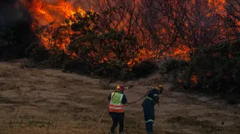 Changing winds could still fan Western Cape fires despite recent containment Changing winds could still fan Western Cape fires despite recent containment