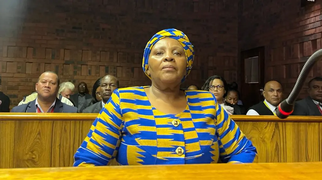 Mapisa Mapisa-Nqakula expected to make first high court appearance in her ...