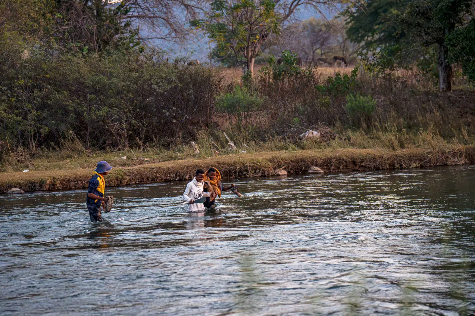 A group of frustrated residents has built a makeshift bridge over the swollen Tubatse River, linking the villages of Mafarafara and Ga-Taung near Burgersfort in Limpopo. Picture: Simpiwe Nkosi/EWN A group of frustrated residents has built a makeshift bridge over the swollen Tubatse River, linking the villages of Mafarafara and Ga-Taung near Burgersfort in Limpopo. Picture: Simpiwe Nkosi/EWN