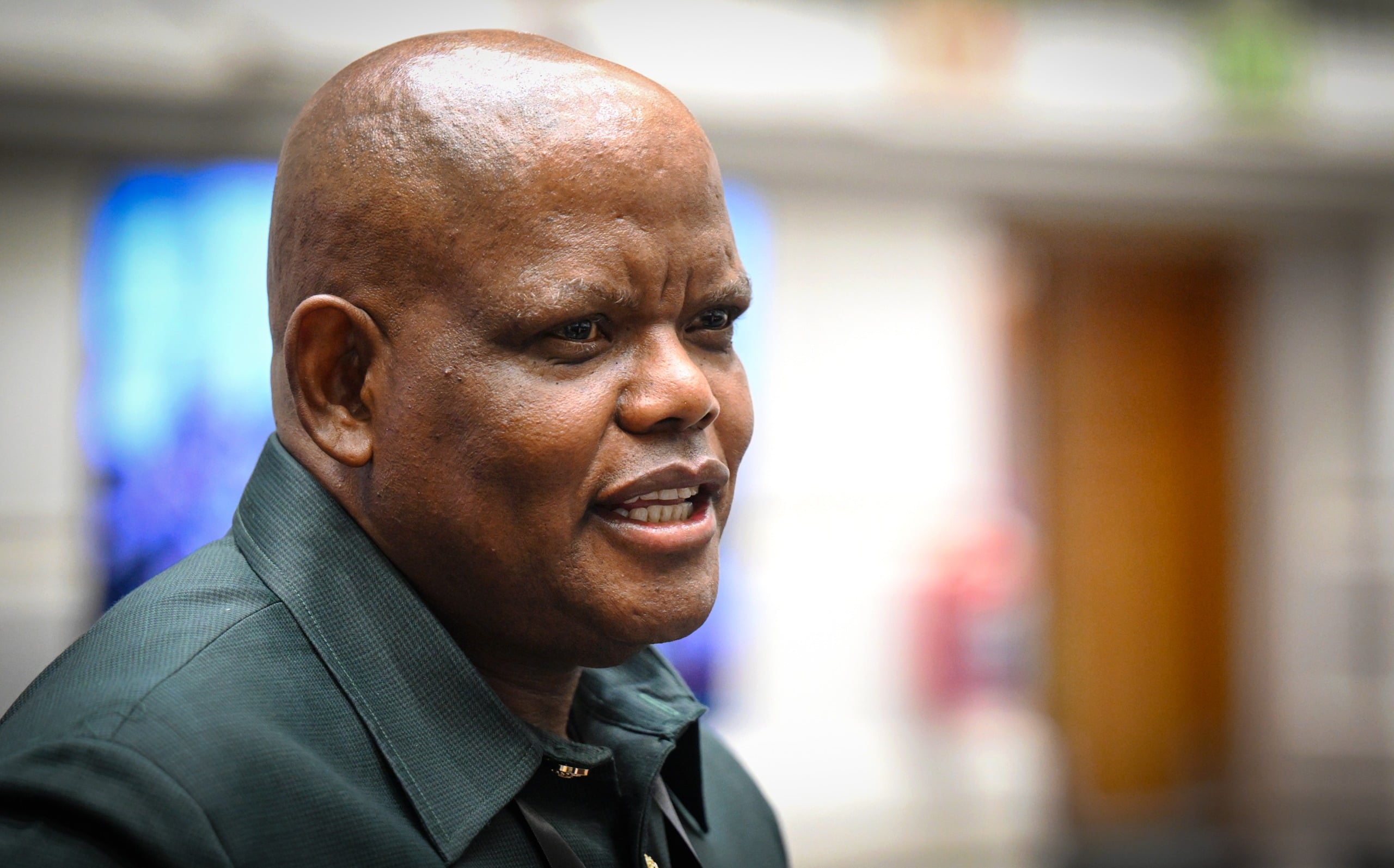 Former acting police commissioner Phahlane to face Ad Hoc Committee