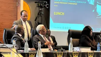 Mbenenge's legal counsel accuses gender expert Vetten of bias in her analysis Mbenenge's legal counsel accuses gender expert Vetten of bias in her analysis