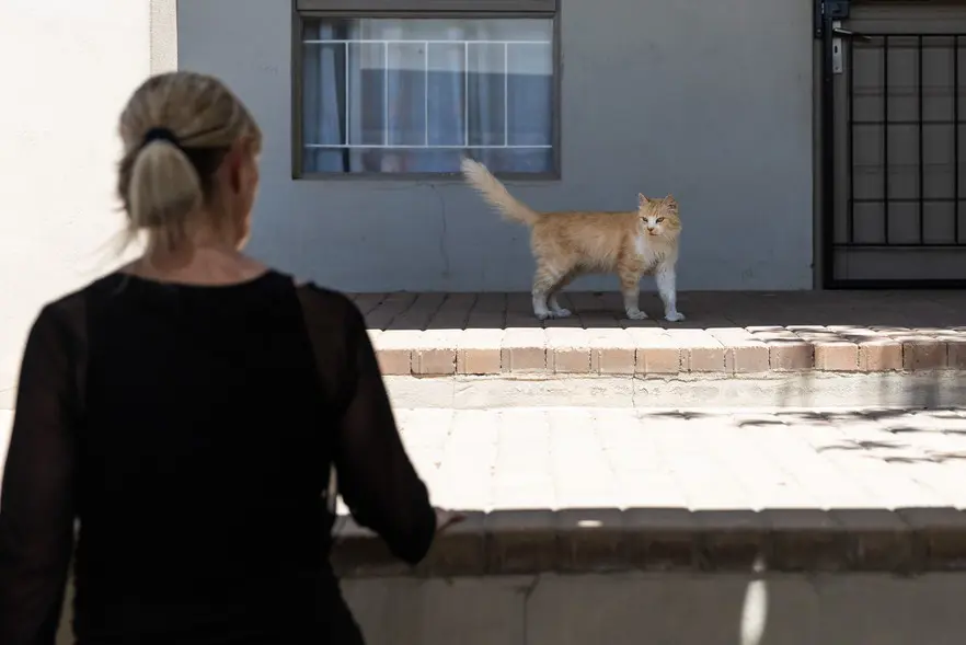 Craig runs several projects looking after feral cats in Clanwilliam. Photo: Ashraf Hendricks Craig runs several projects looking after feral cats in Clanwilliam. Photo: Ashraf Hendricks
