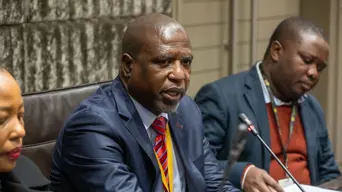 Parly committee probing police corruption considers calling MPs mentioned by Mkhwanazi as witnesses Parly committee probing police corruption considers calling MPs mentioned by Mkhwanazi as witnesses