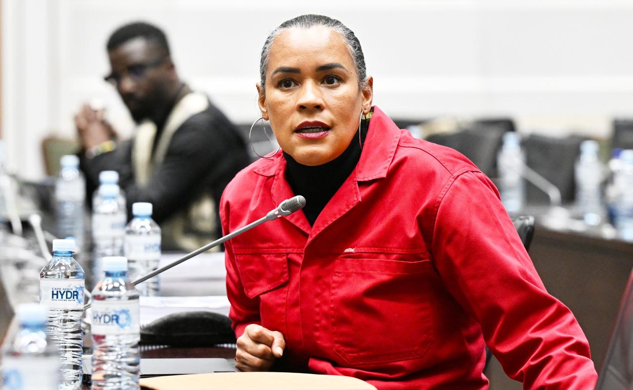 EFF to report Shongwe for disgracing ad hoc committee after Madlanga ...