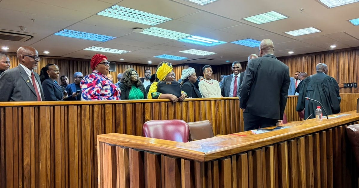 Dlamini-Zuma says she can prove Mbalula bribed his way to ANC’s SG position - EWN