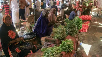 Sudan refugees face deepening hunger as funds dry up: UN Sudan refugees face deepening hunger as funds dry up: UN