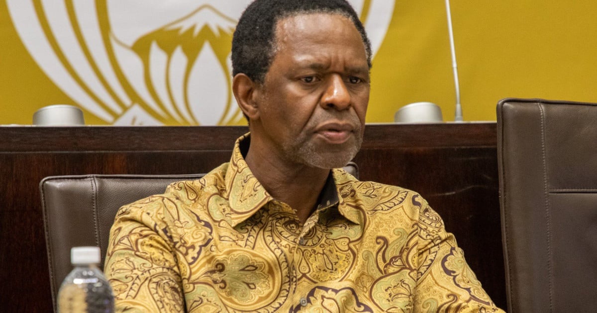 Operation Dudula Faces Parliament Backlash: Blocking Foreign Nationals from Healthcare and Education Condemned