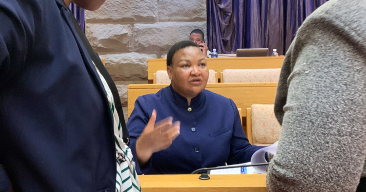 Boshielo: Die Auflösung der PKTT sollte als abschreckendes Beispiel dafür ...