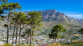 Firefighters successfully contain blaze on Table Mountain Firefighters successfully contain blaze on Table Mountain