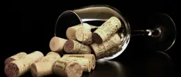 Put a cork in it! Is R100 too much for a corkage fee? Put a cork in it! Is R100 too much for a corkage fee?
