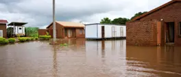Limpopo MEC leads response in hard-hit Mopani District Limpopo MEC leads response in hard-hit Mopani District